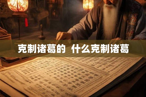 克制诸葛的 什么克制诸葛 克制诸葛的 什么克制诸葛