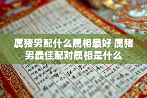 属猪男配什么属相最好 属猪男最佳配对属相是什么