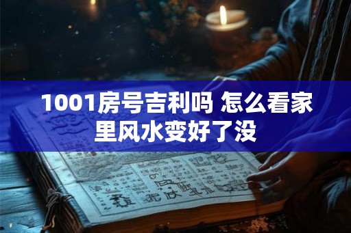 1001房号吉利吗 怎么看家里风水变好了没 1001房号吉利吗 怎么看家里风水变好了没