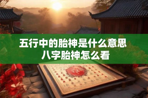五行中的胎神是什么意思  八字胎神怎么看