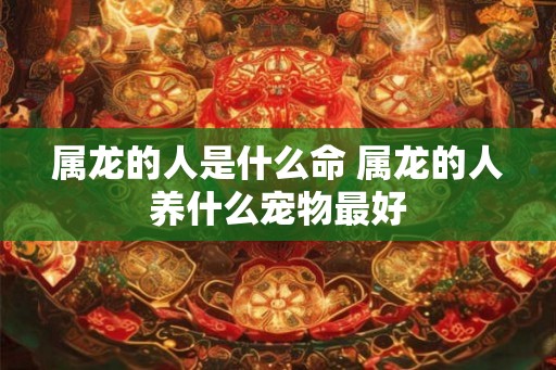 属龙的人是什么命 属龙的人养什么宠物最好 属龙的人是什么命 属龙的人养什么宠物最好