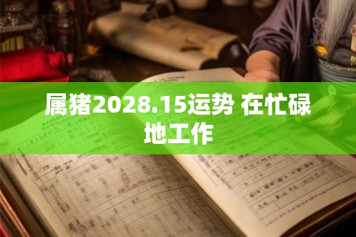 属猪2028.15运势 在忙碌地工作