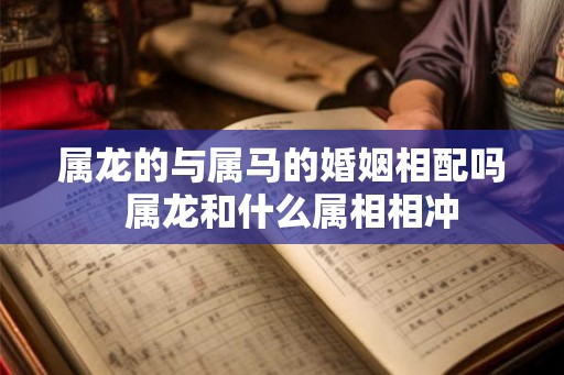属龙的与属马的婚姻相配吗  属龙和什么属相相冲