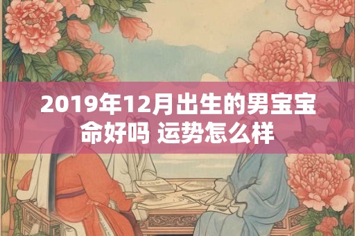 2019年12月出生的男宝宝命好吗 运势怎么样 2019年12月出生的男宝宝命好吗 运势怎么样