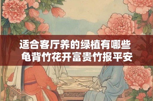 适合客厅养的绿植有哪些 龟背竹花开富贵竹报平安