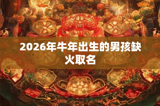 2026年牛年出生的男孩缺火取名