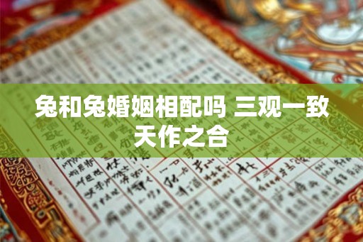 兔和兔婚姻相配吗 三观一致天作之合