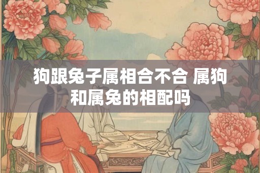 狗跟兔子属相合不合 属狗和属兔的相配吗