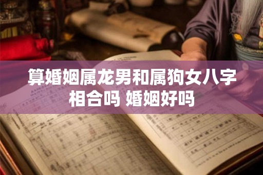 算婚姻属龙男和属狗女八字相合吗 婚姻好吗