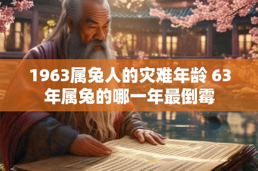 1963属兔人的灾难年龄 63年属兔的哪一年最倒霉 1963属兔人的灾难年龄 63年属兔的哪一年最倒霉