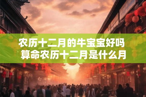 农历十二月的牛宝宝好吗 算命农历十二月是什么月
