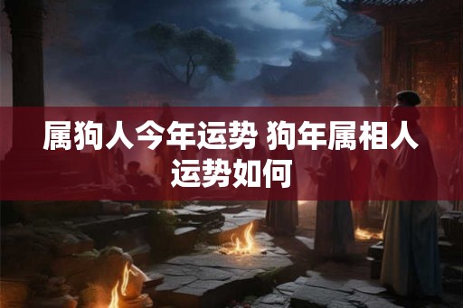 属狗人今年运势 狗年属相人运势如何 属狗人今年运势 狗年属相人运势如何