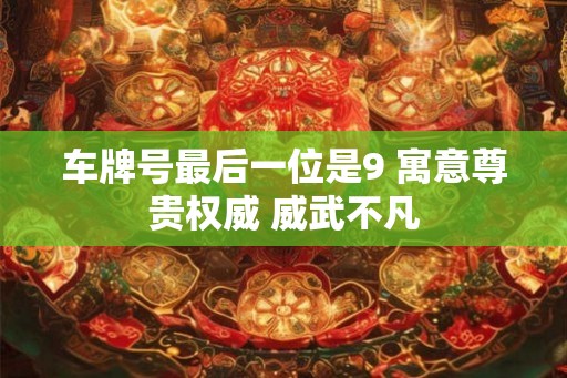 车牌号最后一位是9 寓意尊贵权威 威武不凡