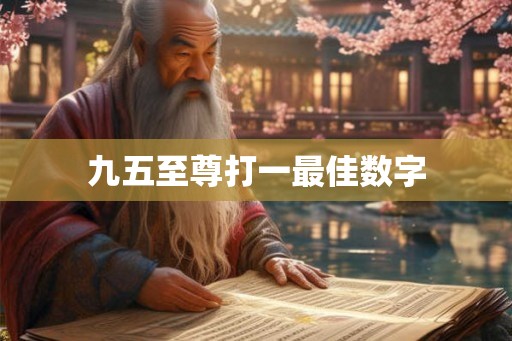 九五至尊打一最佳数字 九五至尊打一最佳数字