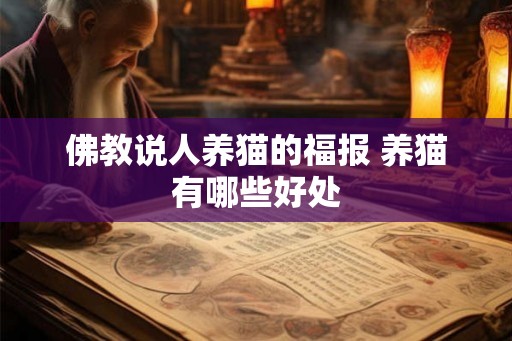 佛教说人养猫的福报 养猫有哪些好处