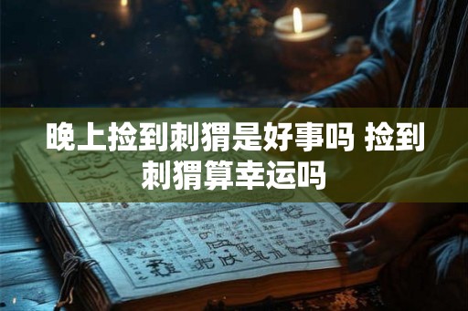 晚上捡到刺猬是好事吗 捡到刺猬算幸运吗
