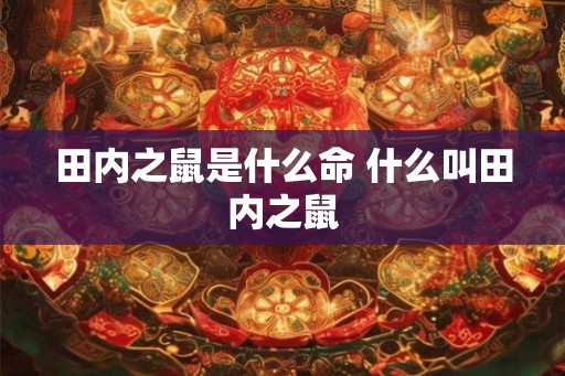 田内之鼠是什么命 什么叫田内之鼠 田内之鼠是什么命 什么叫田内之鼠