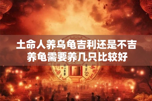 土命人养乌龟吉利还是不吉 养龟需要养几只比较好