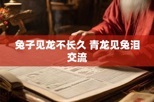 兔子见龙不长久 青龙见兔泪交流