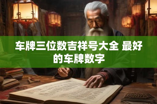 车牌三位数吉祥号大全 最好的车牌数字