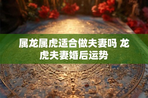 属龙属虎适合做夫妻吗 龙虎夫妻婚后运势