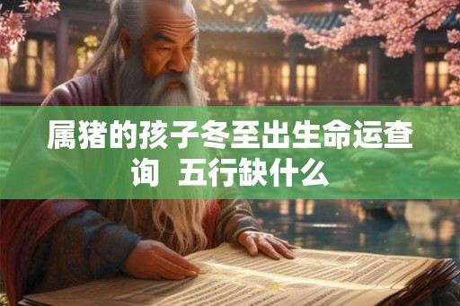属猪的孩子冬至出生命运查询  五行缺什么