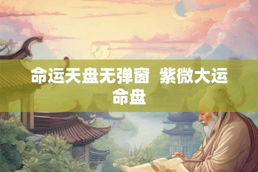 命运天盘无弹窗  紫微大运命盘