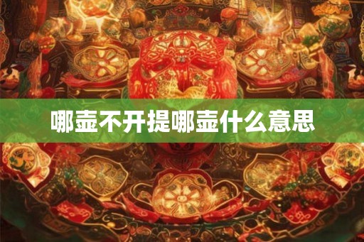 哪壶不开提哪壶什么意思