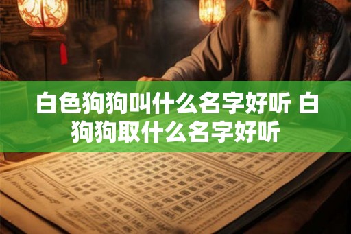 白色狗狗叫什么名字好听 白狗狗取什么名字好听