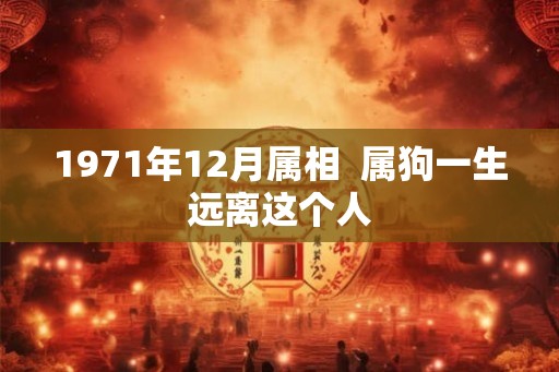 1971年12月属相  属狗一生远离这个人