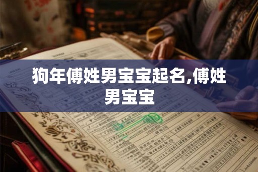狗年傅姓男宝宝起名,傅姓男宝宝