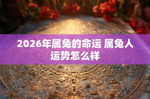 2026年属兔的命运 属兔人运势怎么样