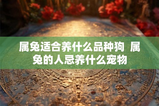 属兔适合养什么品种狗  属兔的人忌养什么宠物