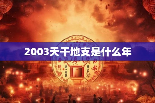 2003天干地支是什么年
