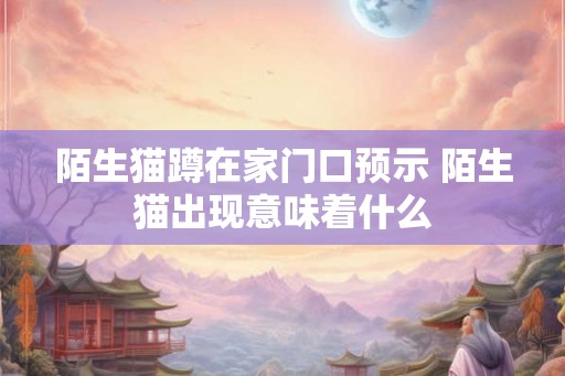 陌生猫蹲在家门口预示 陌生猫出现意味着什么