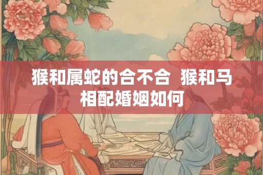 猴和属蛇的合不合  猴和马相配婚姻如何