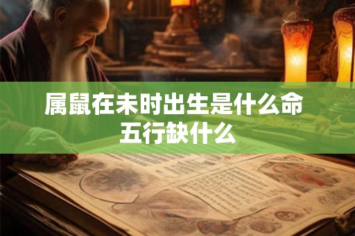 属鼠在未时出生是什么命 五行缺什么