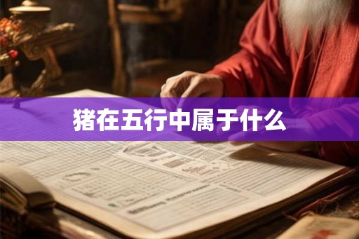 猪在五行中属于什么
