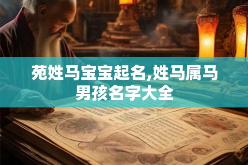 苑姓马宝宝起名,姓马属马男孩名字大全