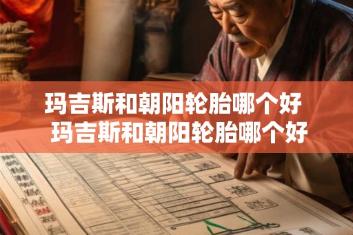 玛吉斯和朝阳轮胎哪个好  玛吉斯和朝阳轮胎哪个好