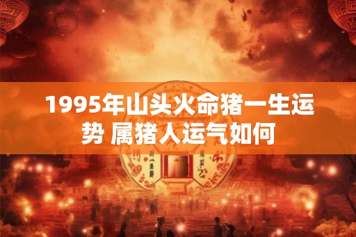 1995年山头火命猪一生运势 属猪人运气如何
