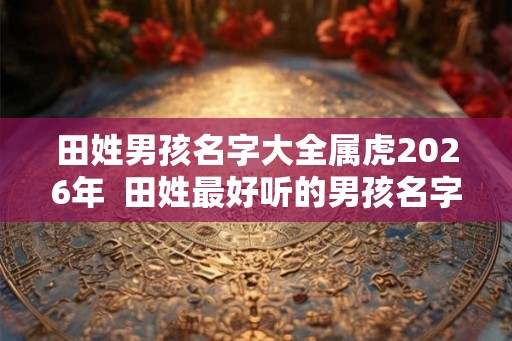 田姓男孩名字大全属虎2026年  田姓最好听的男孩名字