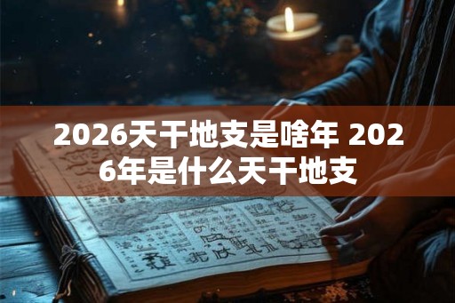 2026天干地支是啥年 2026年是什么天干地支