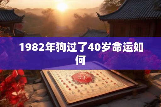 1982年狗过了40岁命运如何