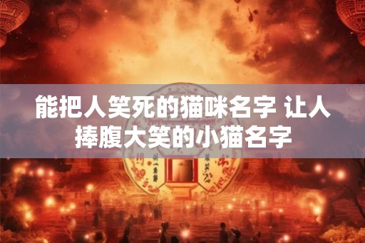 能把人笑死的猫咪名字 让人捧腹大笑的小猫名字