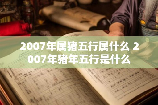 2007年属猪五行属什么 2007年猪年五行是什么 2007年属猪五行属什么 2007年猪年五行是什么
