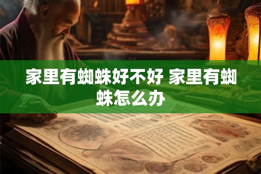 家里有蜘蛛好不好 家里有蜘蛛怎么办 家里有蜘蛛好不好 家里有蜘蛛怎么办