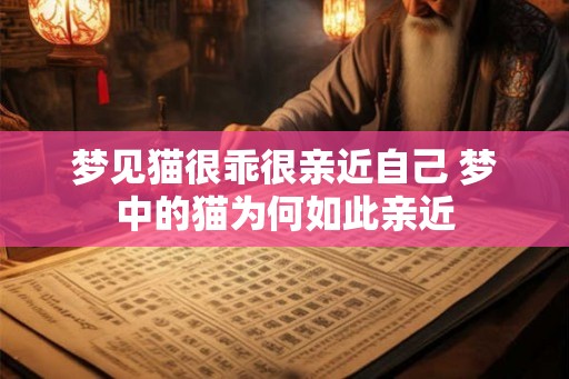梦见猫很乖很亲近自己 梦中的猫为何如此亲近