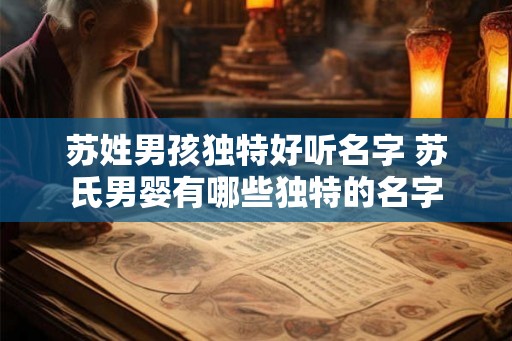 苏姓男孩独特好听名字 苏氏男婴有哪些独特的名字