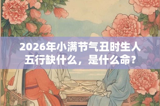 2026年小满节气丑时生人五行缺什么，是什么命？